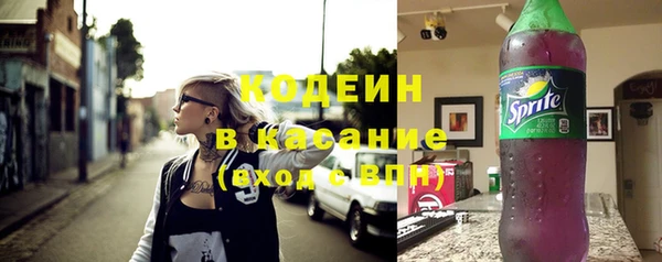 apvp Козельск