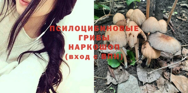 тгк Кодинск