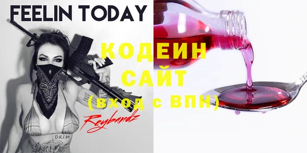 apvp Козельск