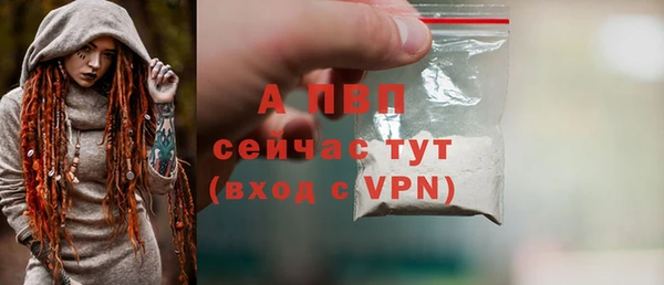 apvp Козельск