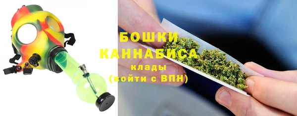 apvp Козельск