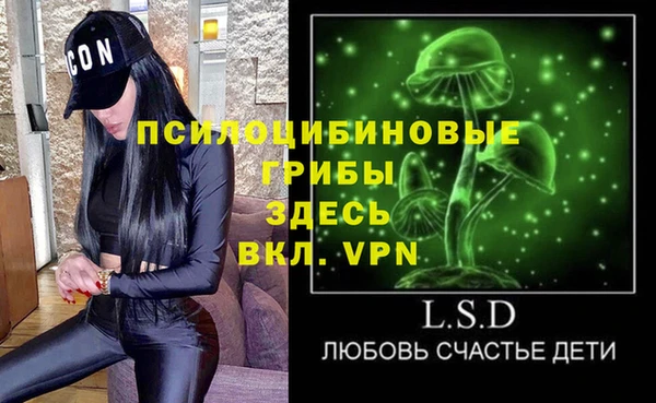 apvp Козельск