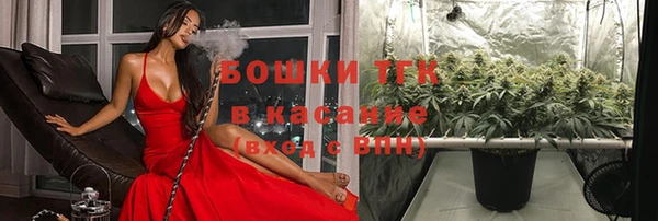 apvp Козельск
