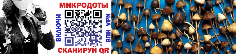 Купить закладки  Томмот  Псилоцибиновые грибы мицелий 